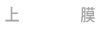 上膜